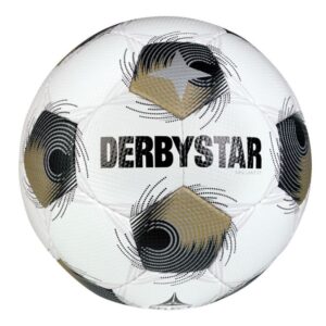 DERBYSTAR BRILLANT TT HS